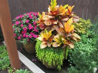 Tail of he Dragon July 2015 582 : Tail of he Dragon July 2015